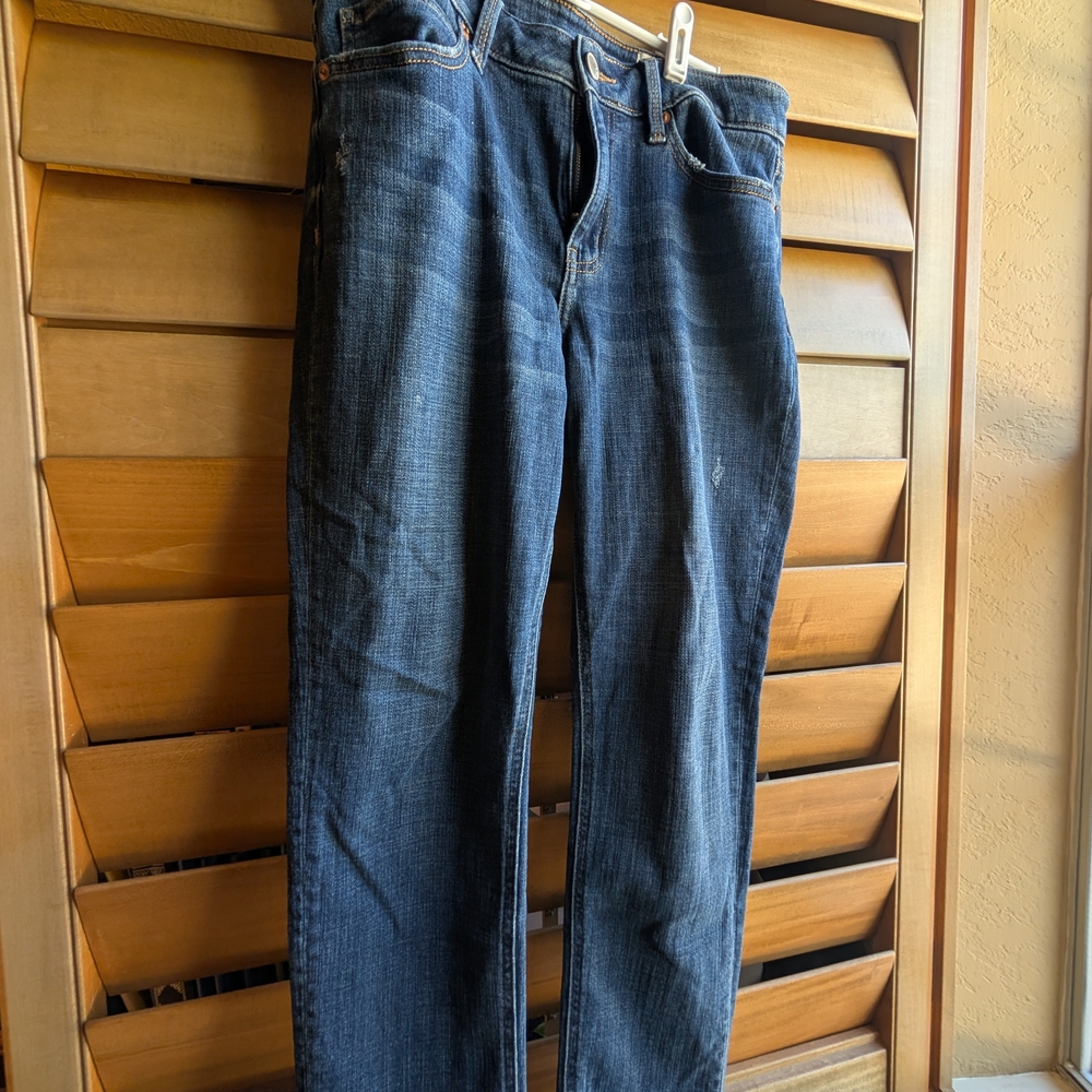 Classic Indigo Skinny Jeans